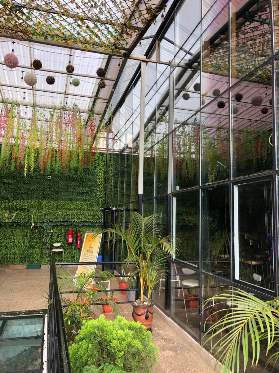 The Echo Garden