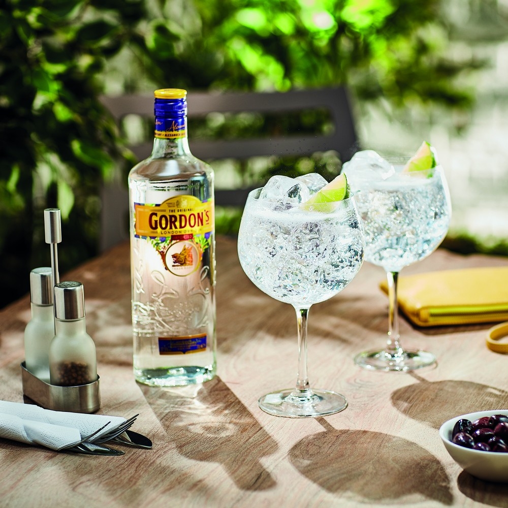GORDON'S GIN 1L